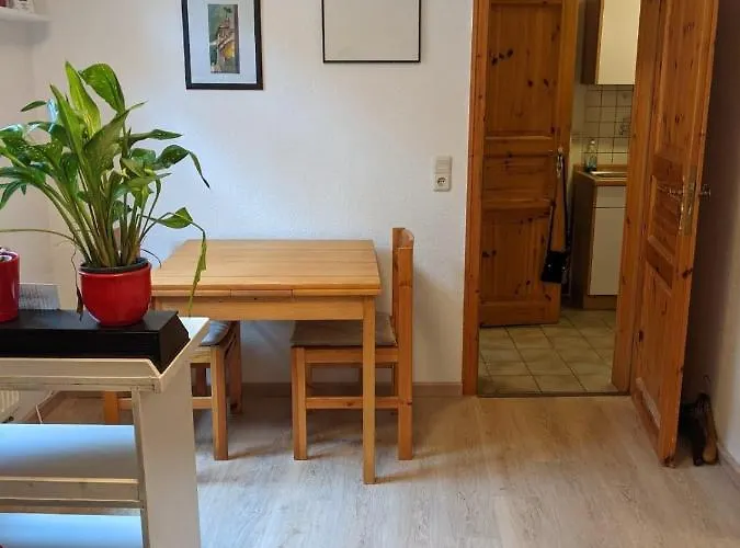 Apartment 10